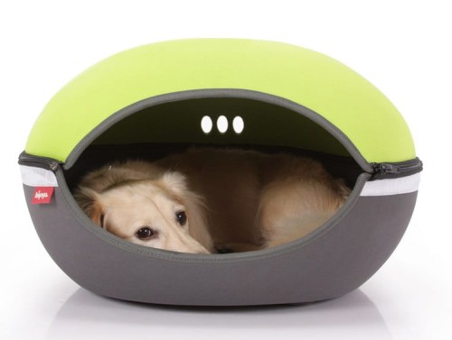 61832091bf8e849ebbe6aa86aa2f8761